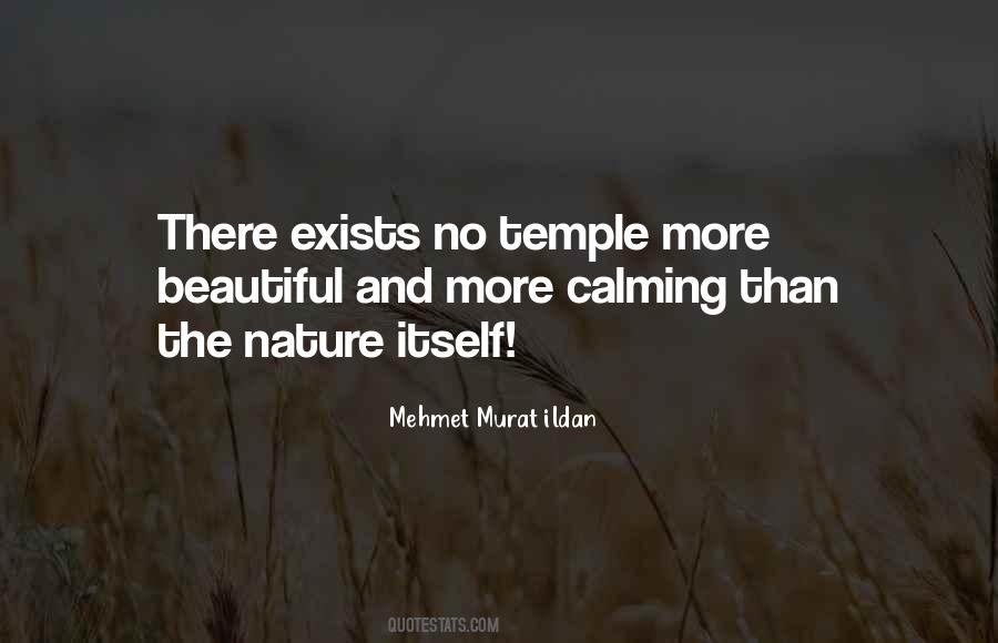 Nature Is My Temple Quotes #1020436