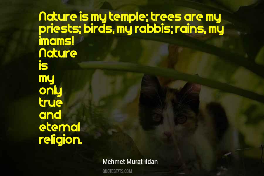 Nature Is My Temple Quotes #1130797
