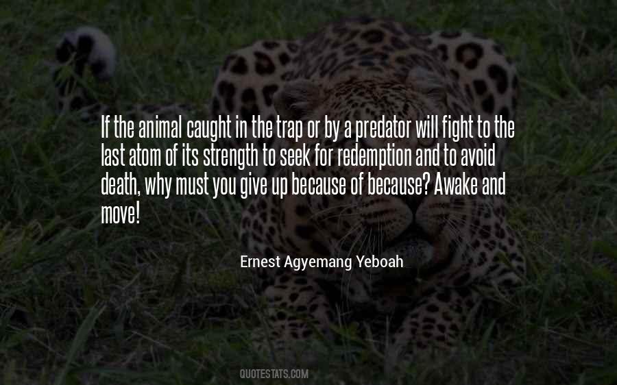 Avoid A Fight Quotes #1177635