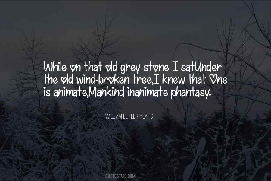 Broken Reality Quotes #855047