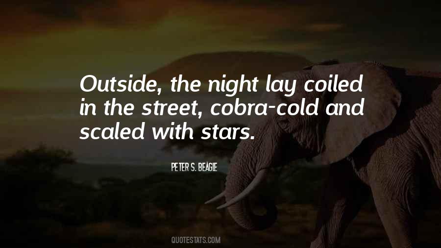 Night Outside Quotes #1475051