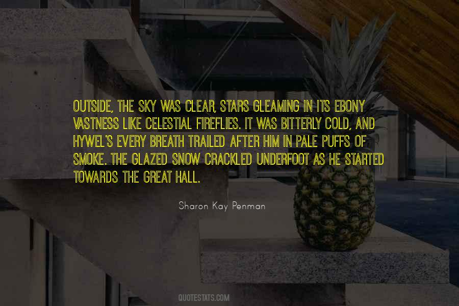 Night Outside Quotes #1596522