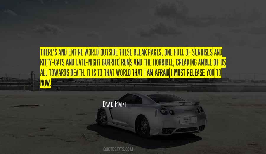 Night Outside Quotes #483936