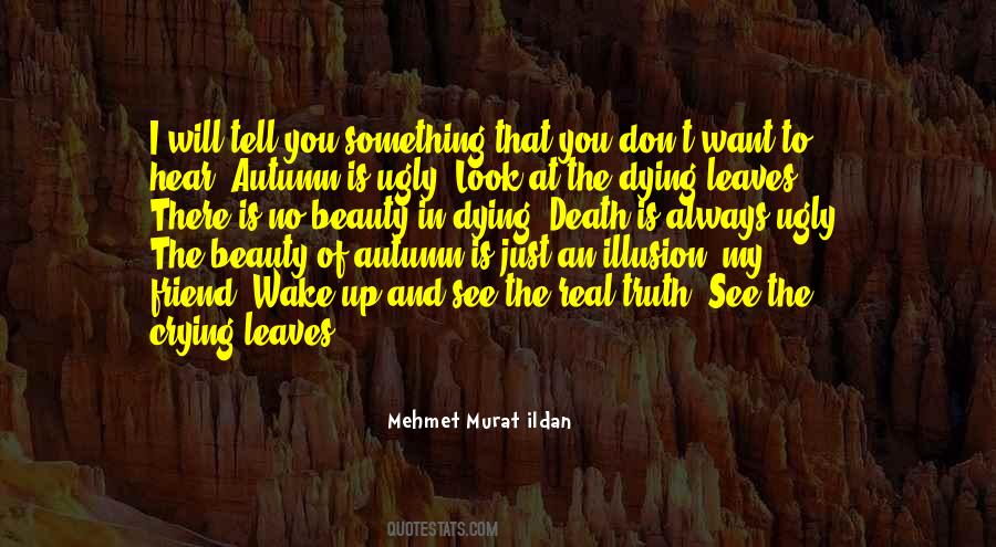 I Just Want Real Quotes #1703937