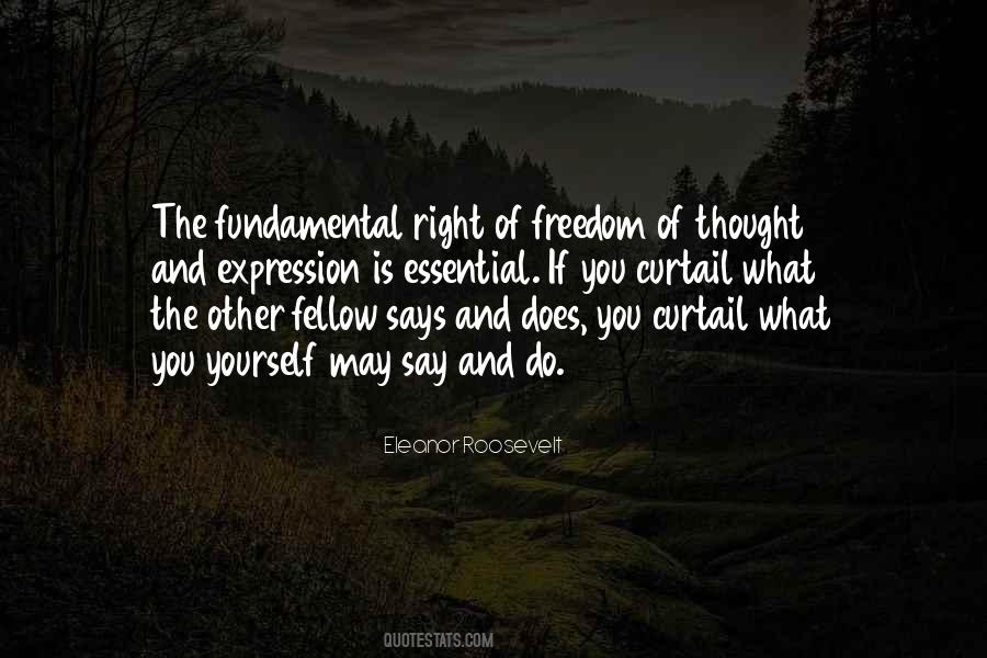 Fundamental Freedom Quotes #1412887