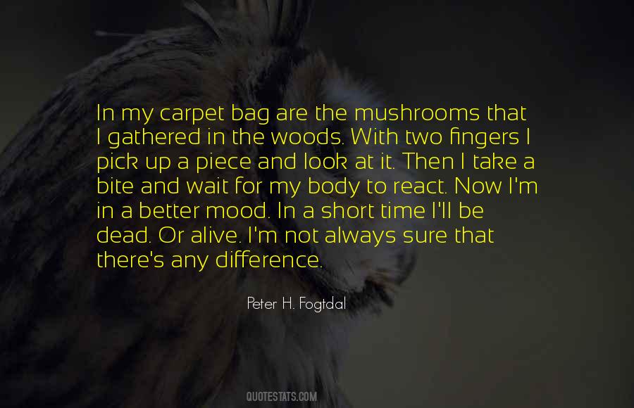 Time In The Woods Quotes #1469343