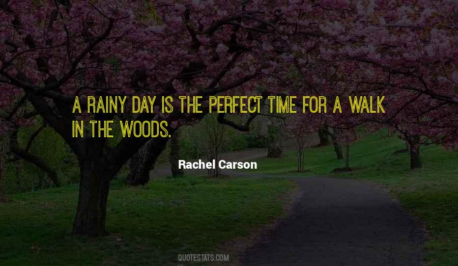 Time In The Woods Quotes #683439