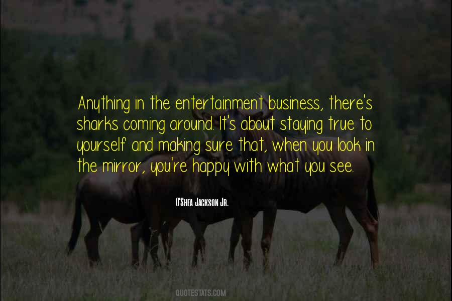 When You Look In The Mirror What Do You See Quotes #326124
