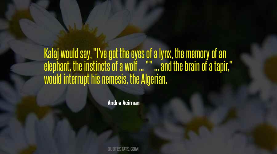Memory Of An Elephant Quotes #1655282