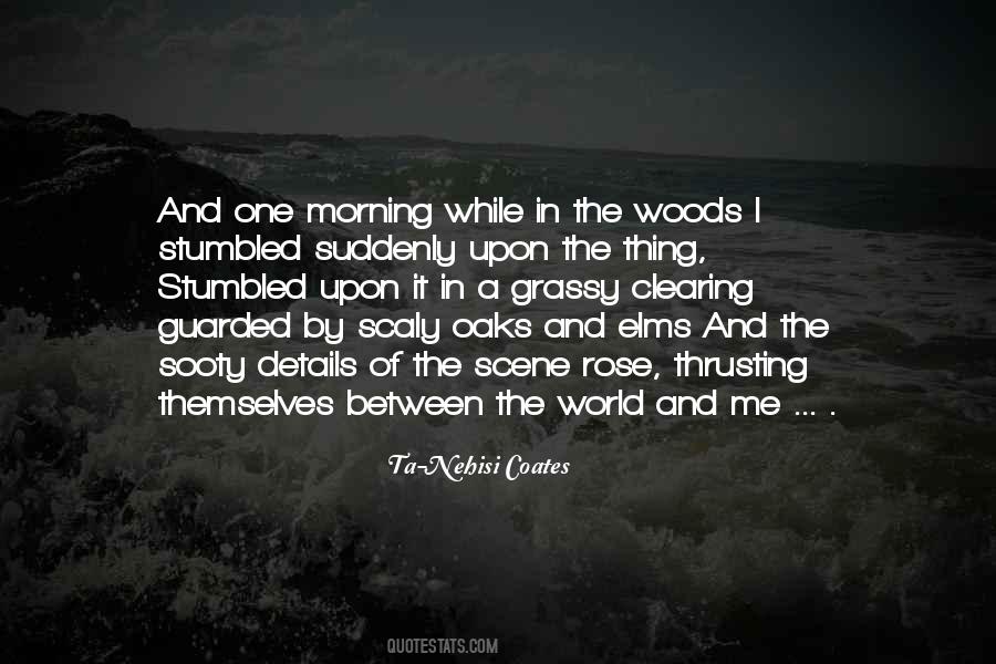 Between The World And Me Quotes #322659