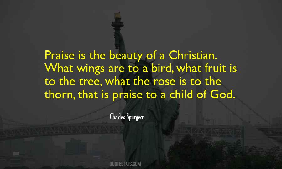 Praise The Beauty Quotes #812156