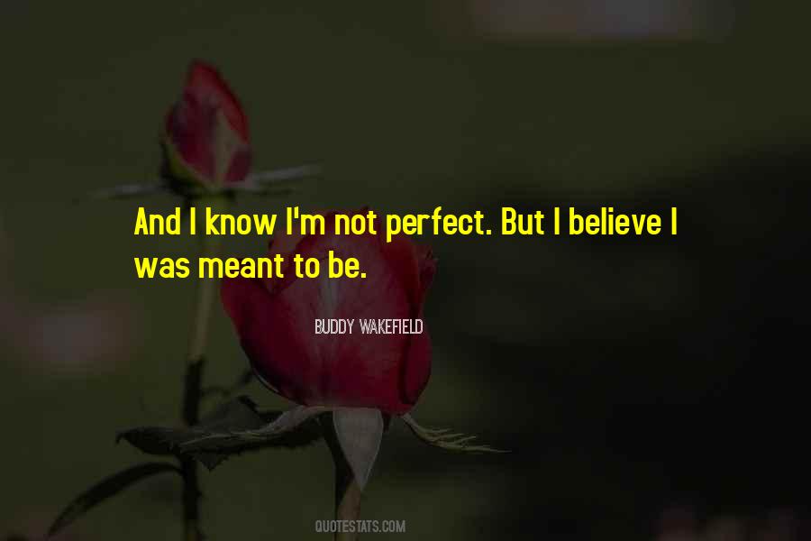 I M Not Perfect Quotes #791847