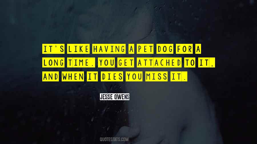 Miss You Dog Quotes #123326
