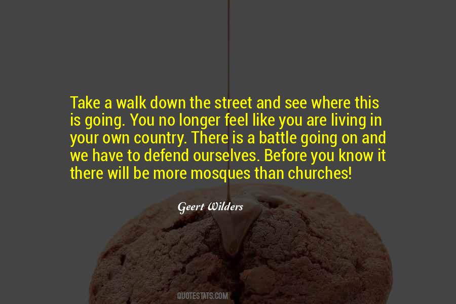 Country Walk Quotes #1452056