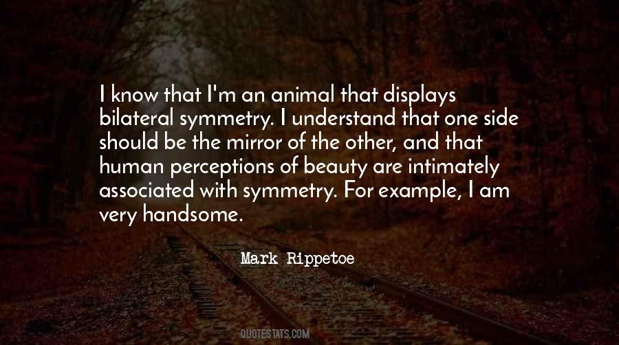 Mirror Beauty Quotes #1007216