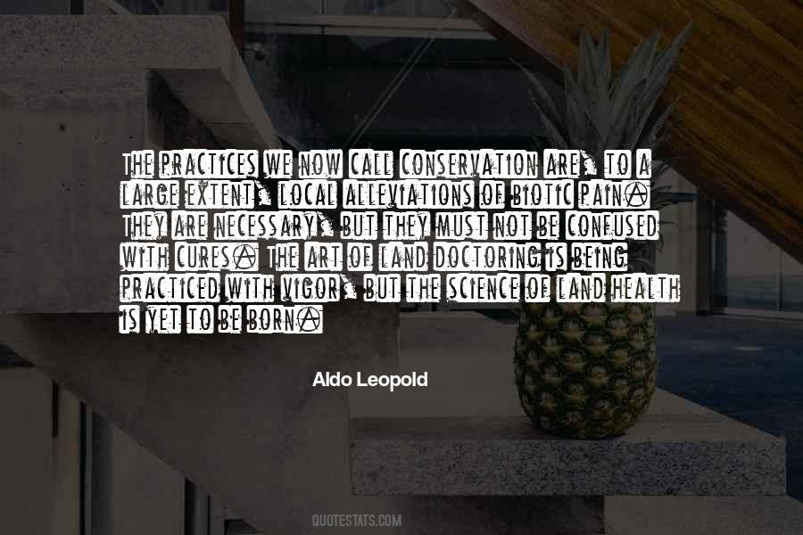 Pain Art Quotes #936081