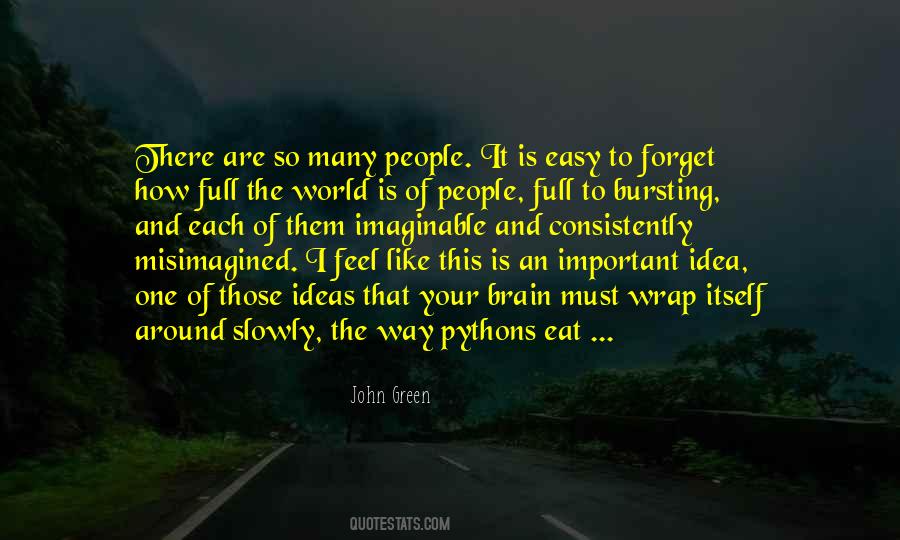 Idea Important Quotes #630169
