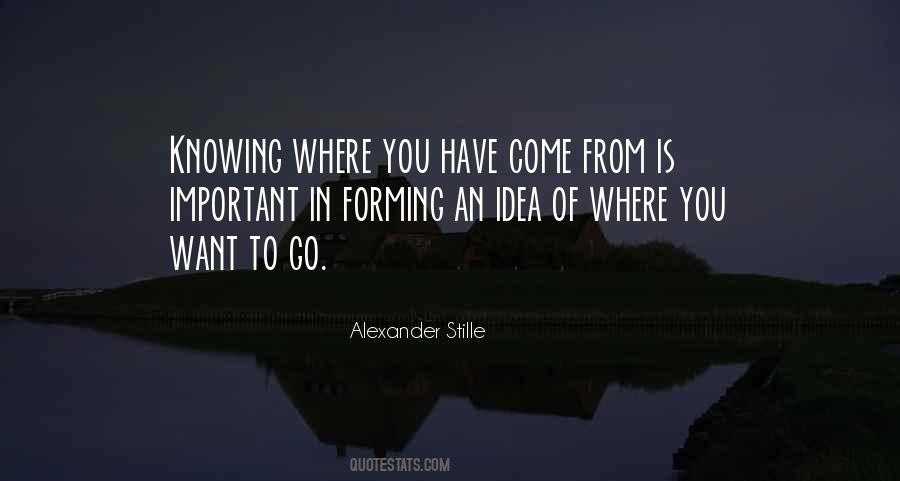 Idea Important Quotes #86768