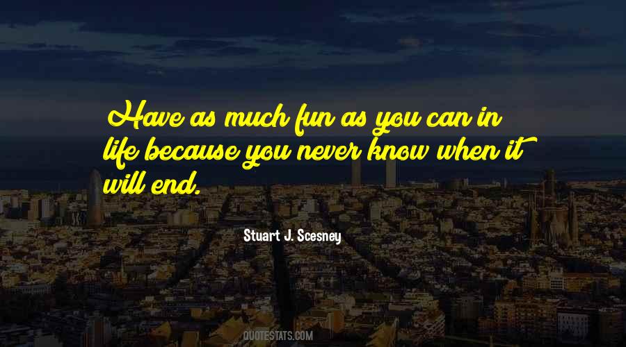 Quotes About When You Have Fun #1510491