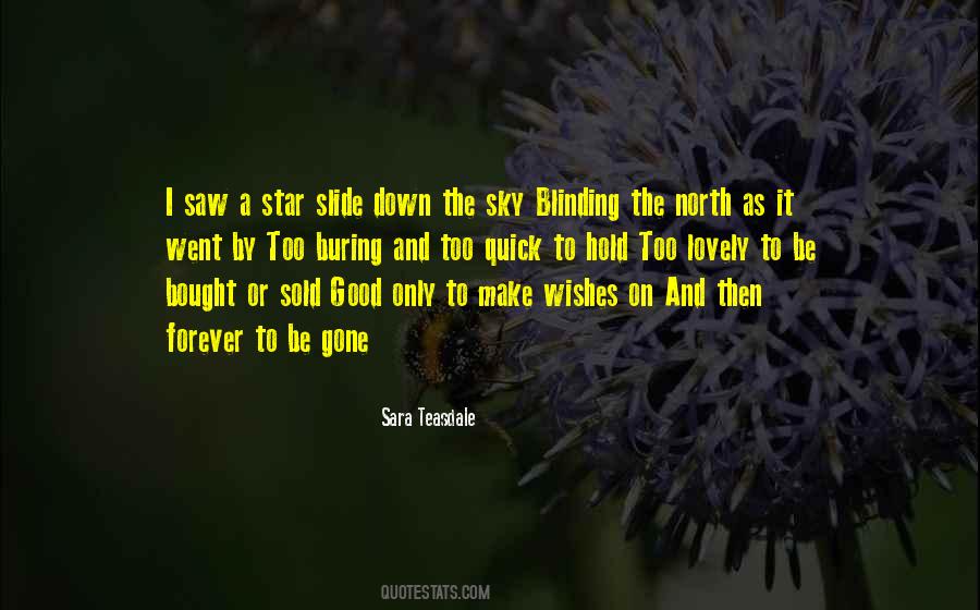 I Wishes Quotes #1609998