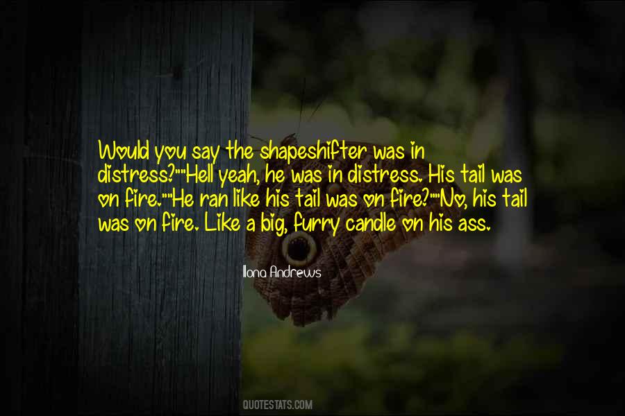 Quotes About A Shapeshifter #1258135