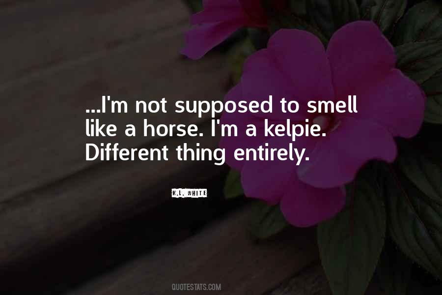 Quotes About A Shapeshifter #553386