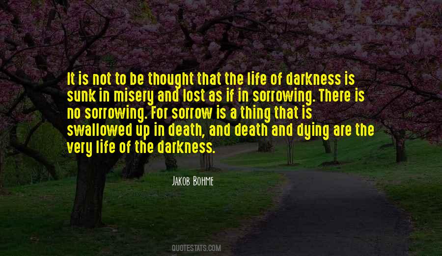If There Is No Darkness Quotes #1446844