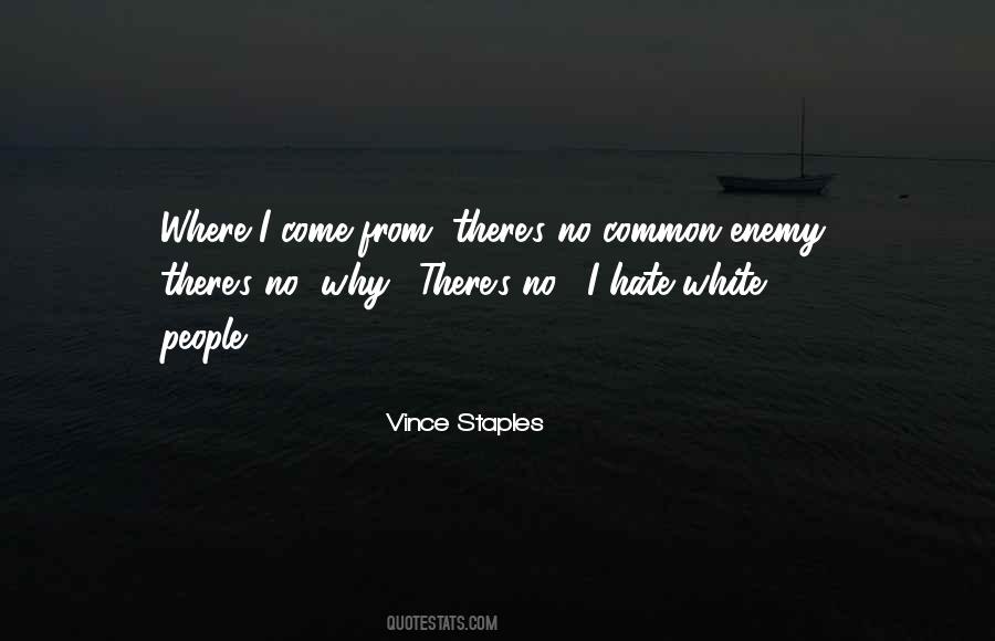 Why Hate Quotes #124971