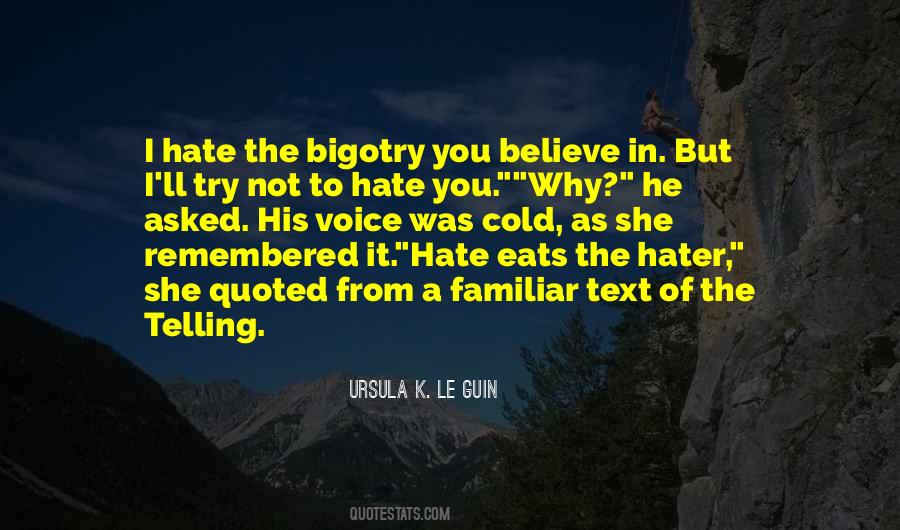 Why Hate Quotes #72388