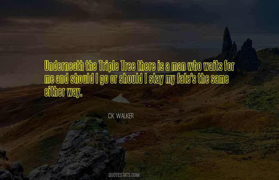 Should I Go Or Should I Stay Quotes #1413062