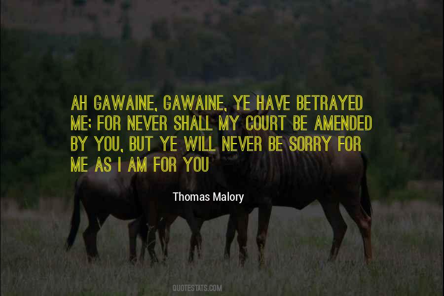 Never Be Sorry Quotes #1208934