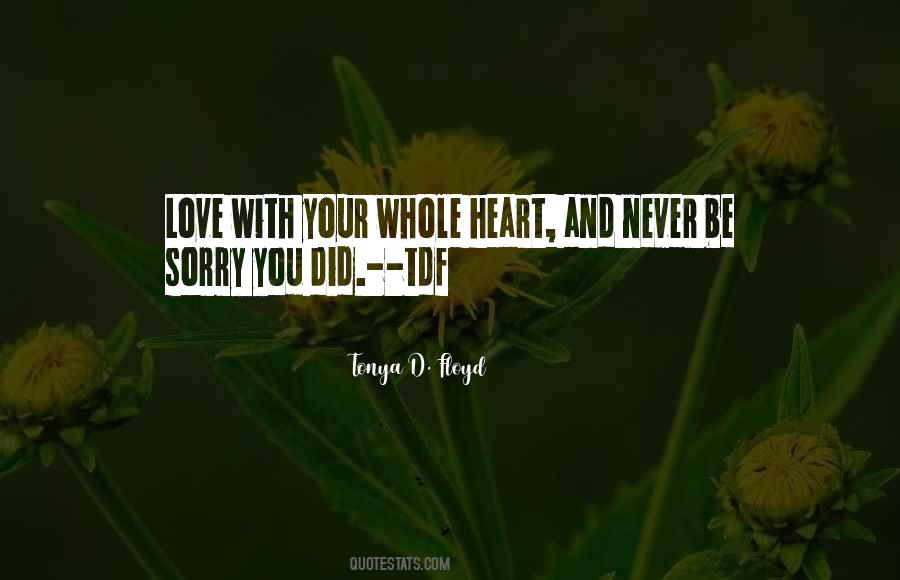 Never Be Sorry Quotes #318247