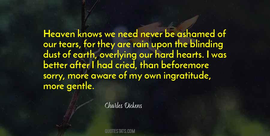 Never Be Sorry Quotes #780750