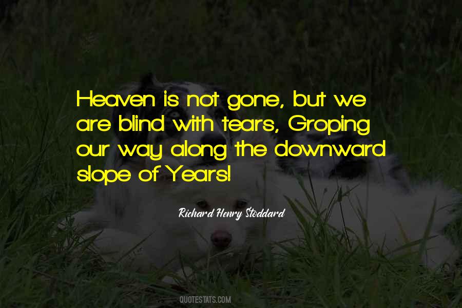 No Tears In Heaven Quotes #832574