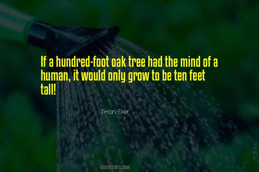 Quotes About The Oak Tree #1388046