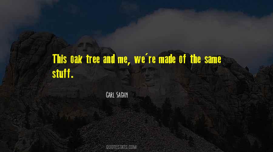 Quotes About The Oak Tree #1428872