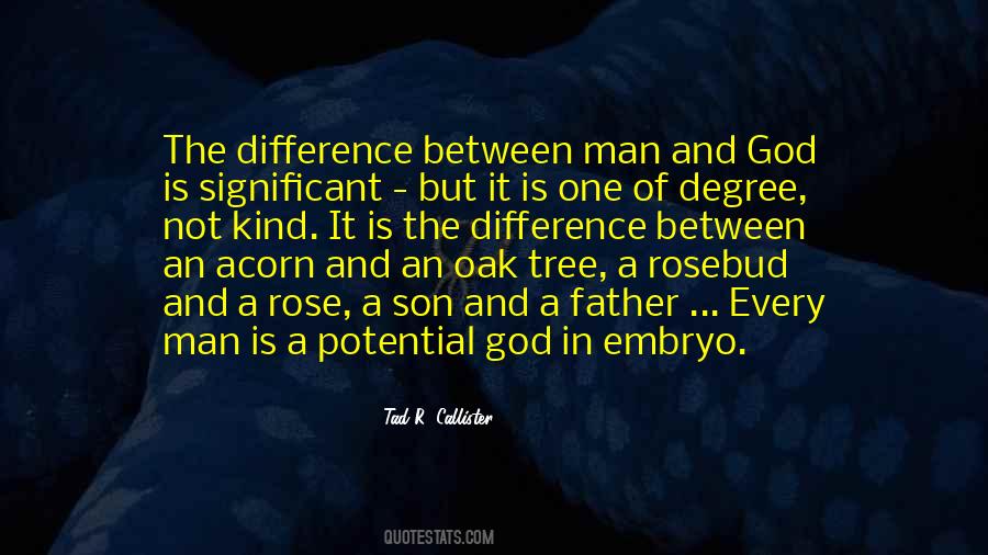 Quotes About The Oak Tree #738596