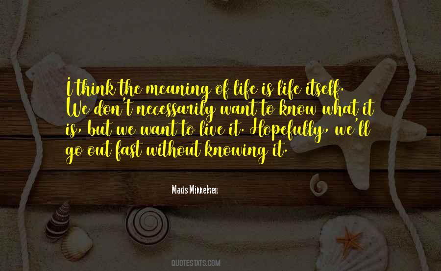 What I Want Out Of Life Quotes #993489