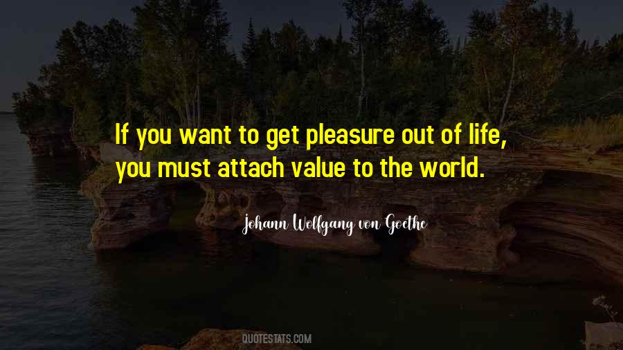 Life Pleasure Quotes #982075