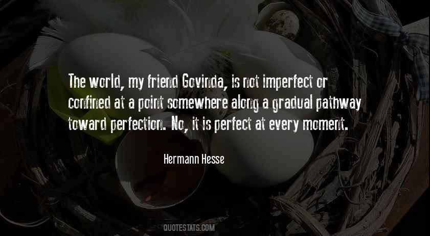 Perfection In An Imperfect World Quotes #25282