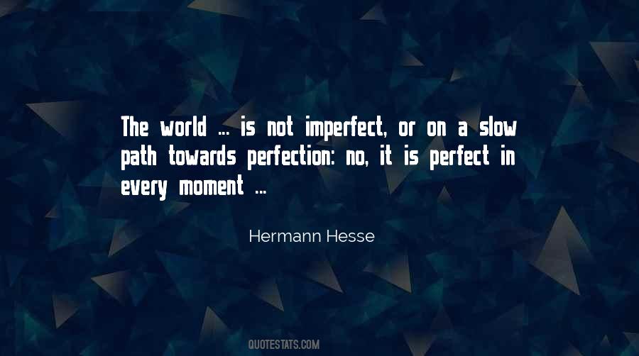 Perfection In An Imperfect World Quotes #740066