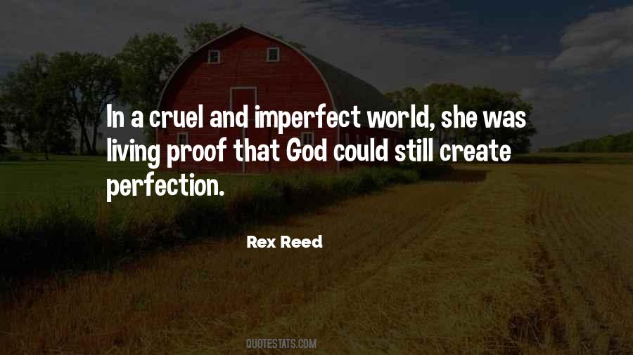 Perfection In An Imperfect World Quotes #802984