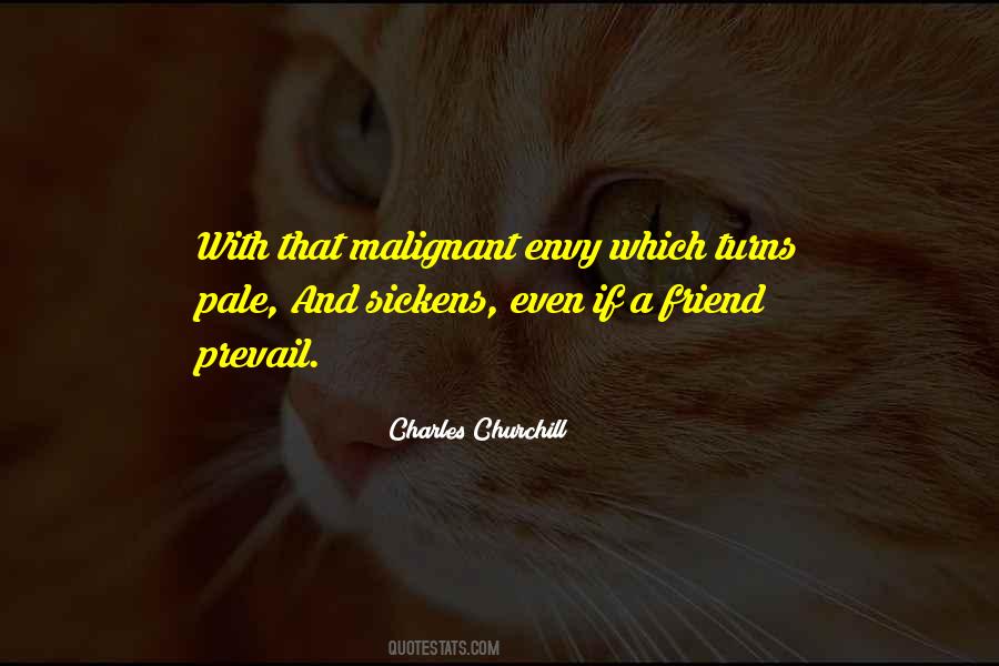 I Can Be Your Best Friend Quotes #20015