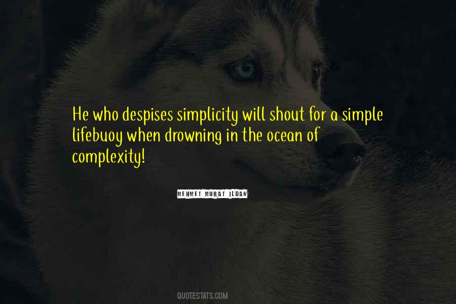 Complexity In Simplicity Quotes #1161009