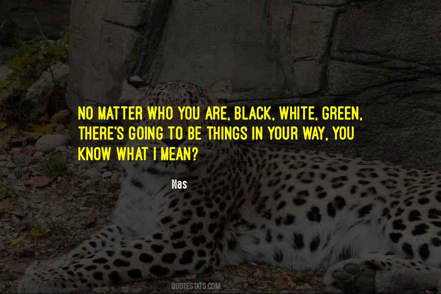 Be Who You Are No Matter What Quotes #1763733
