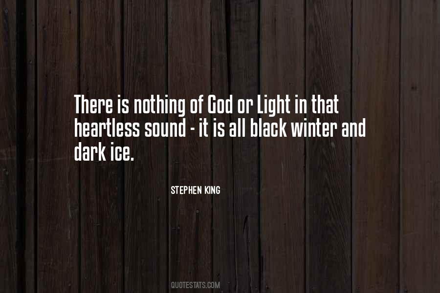 In The Dark There Is Light Quotes #1378513