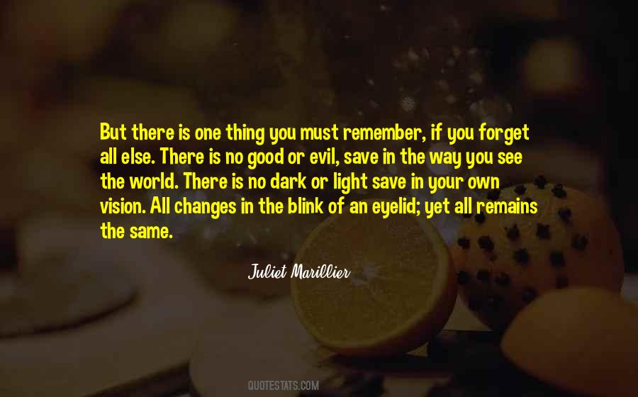 In The Dark There Is Light Quotes #1722476