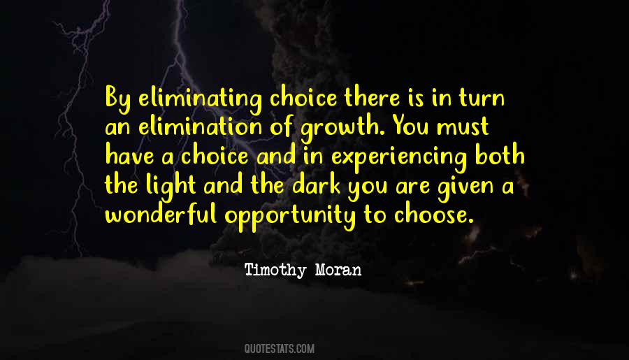 In The Dark There Is Light Quotes #896896