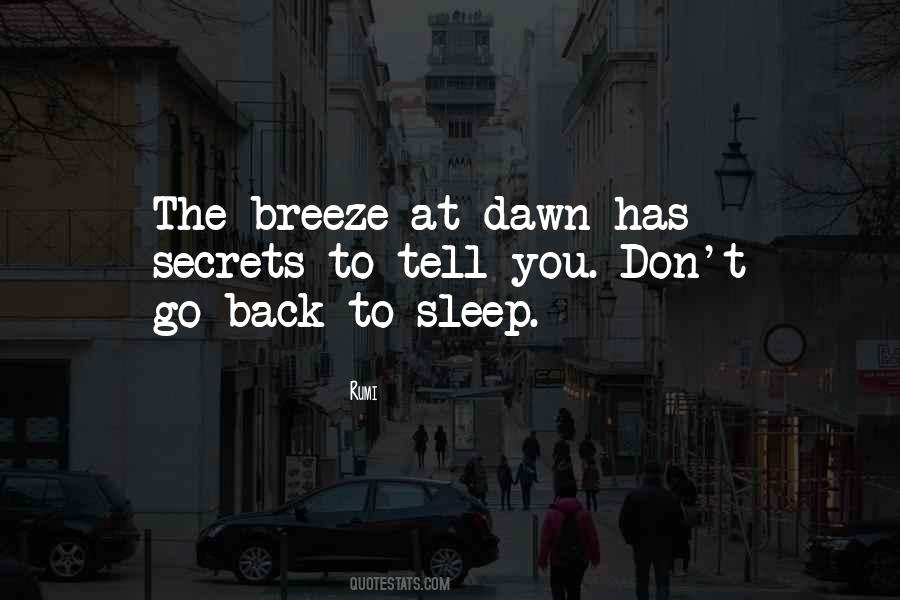 Go Back To Sleep Quotes #658373