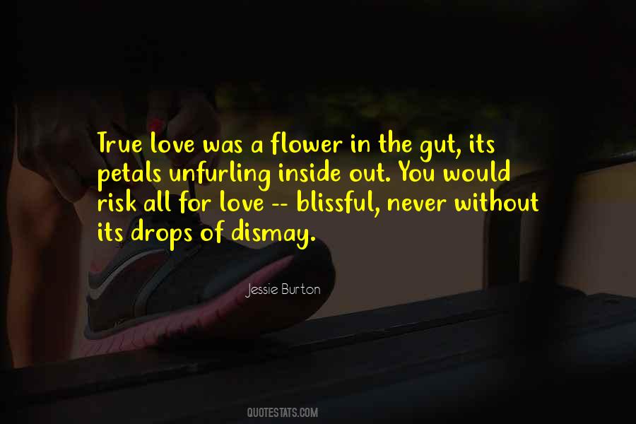 Love Without Risk Quotes #1877854